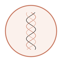 Collagen